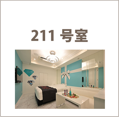 211号室