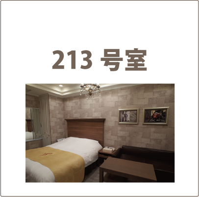 213号室